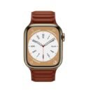 Apple Watch Series 8(Ex-UK)